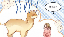 小黄书 漫画,趣味横生的日常趣事