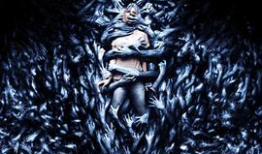 欧洲视频,探寻多元文化的视觉盛宴